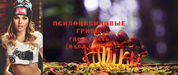 apvp Елизово