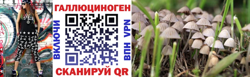 Купить  Калач-на-Дону  Галлюциногенные грибы прущие грибы 